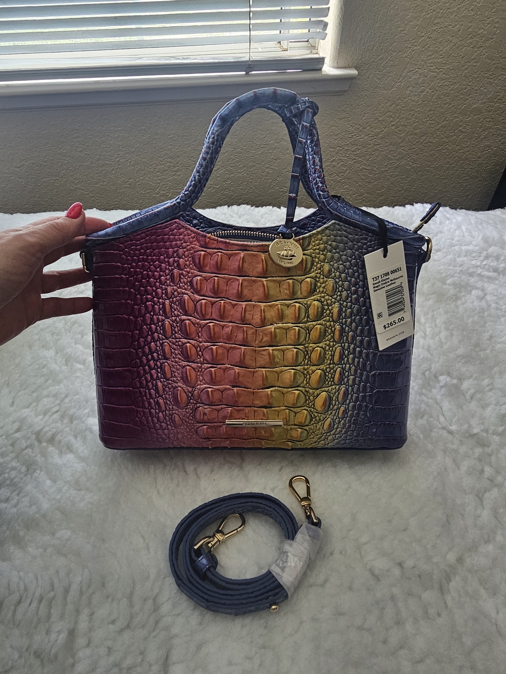 Brahmin Rainbow Ombre Melbourne Satchel - Multicolor